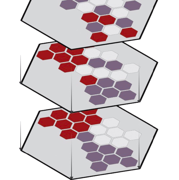 Foundational Spatial 'Omics Analysis Workshop logo