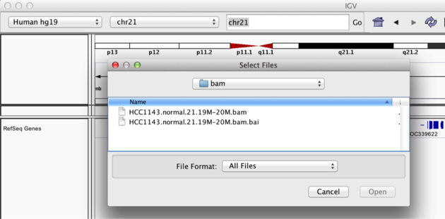 Loading BAM file in IGV.