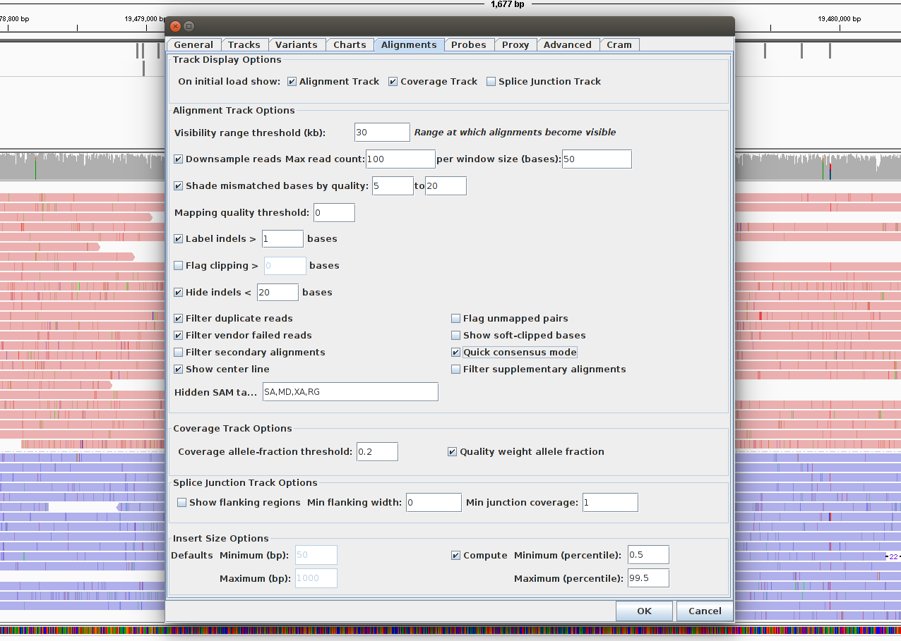 IGV long reads consensus.