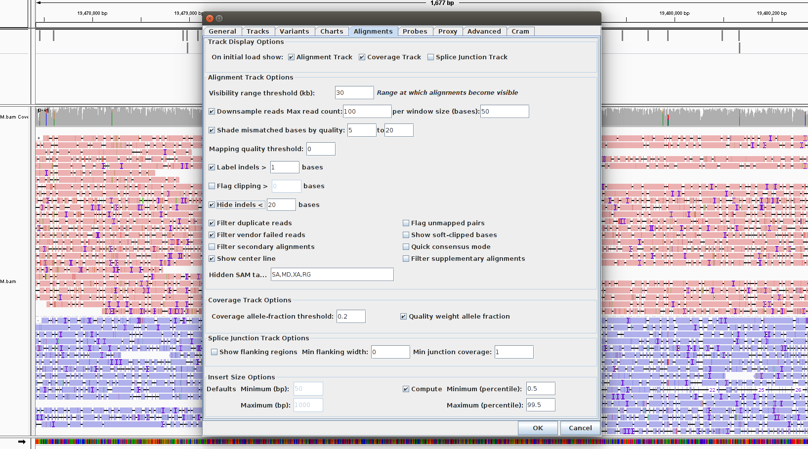 IGV long reads hide indels.