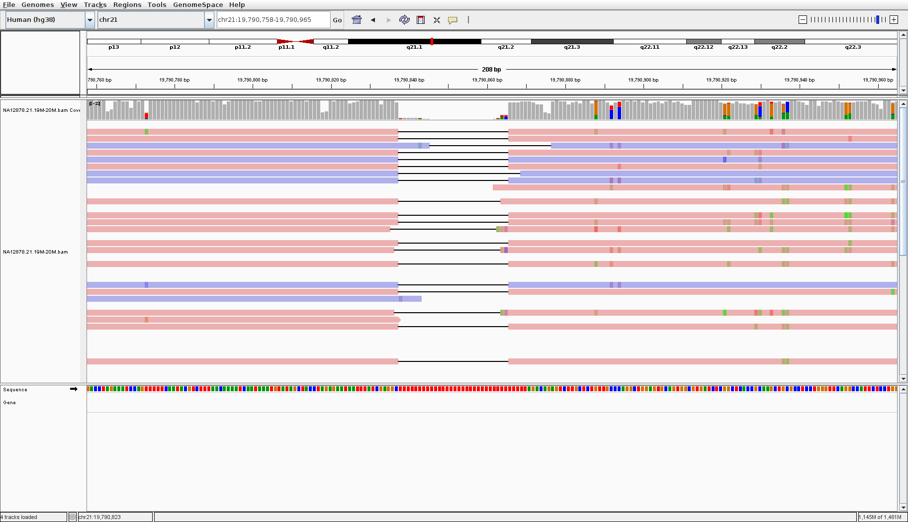 IGV nanopore homopolymer deletion.