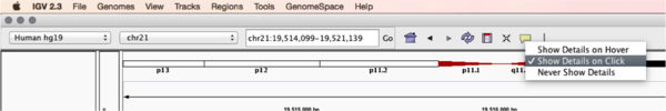 Click to show details on read in IGV.