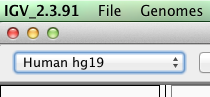 IGV genome.