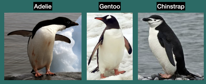 Source: www.gabemednick.com/post/penguin