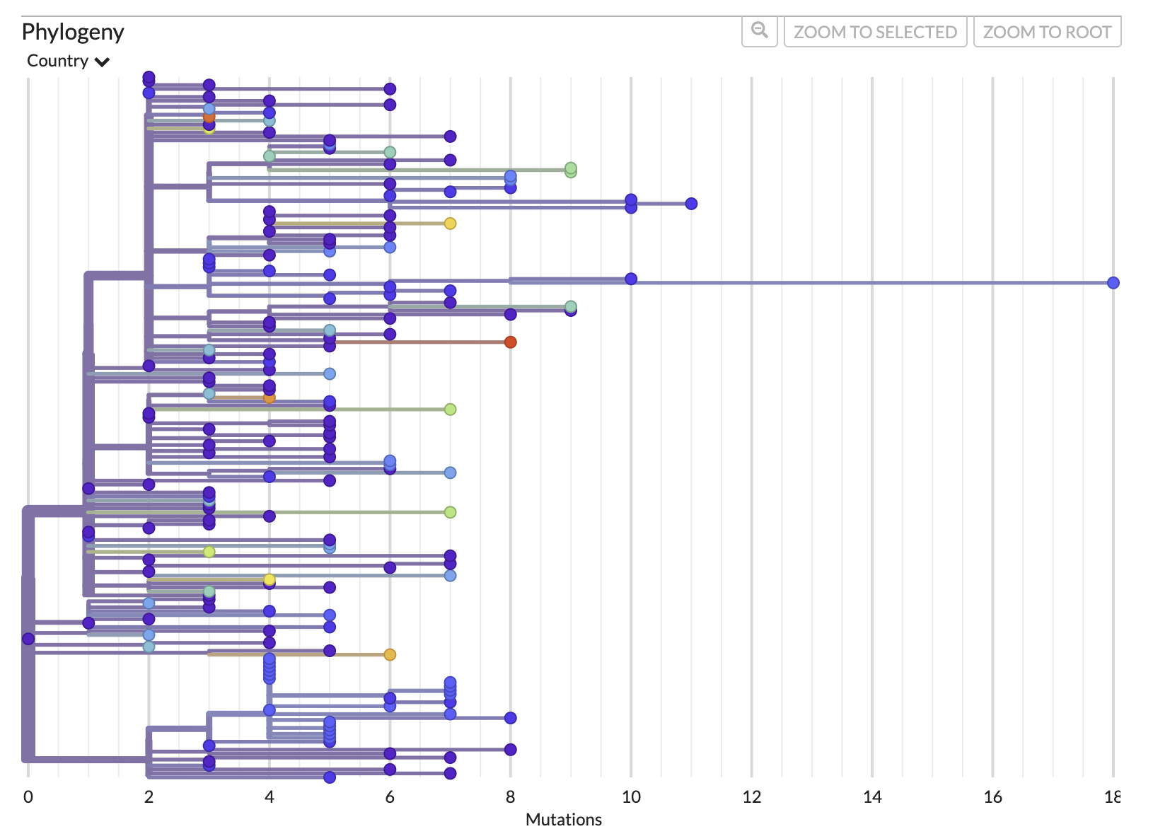 auspice mutation tree