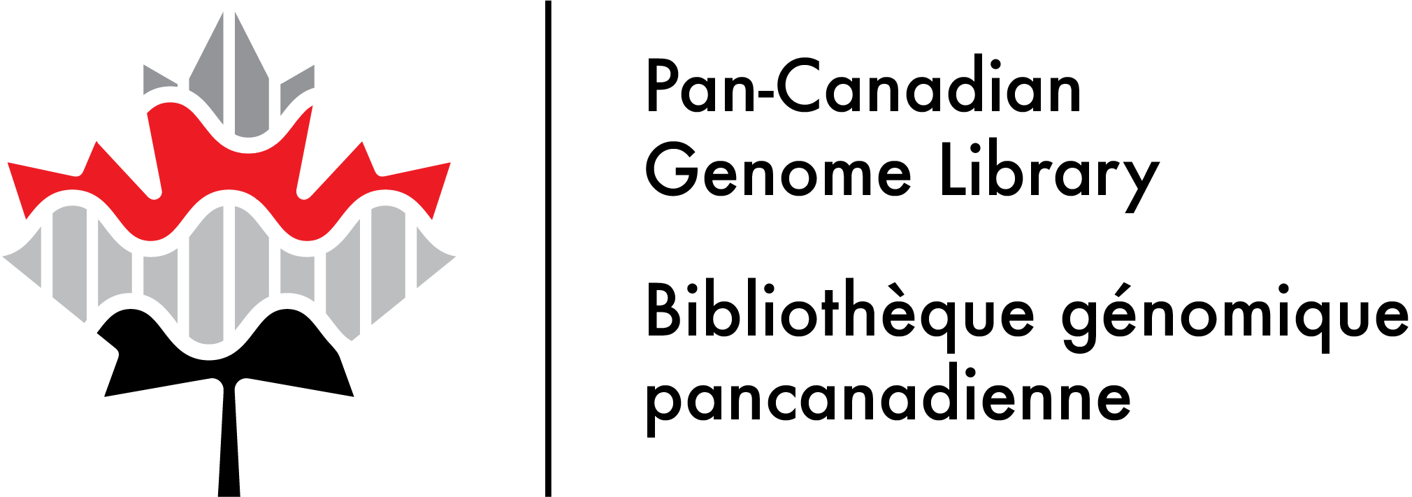 PCGL logo. Left: Maple leaf in greyscale overlayed with dark grey, red, light grey and black bands. Right: Pan-Canadian Genome Library. Bibliothèque génomique pancanadienne.