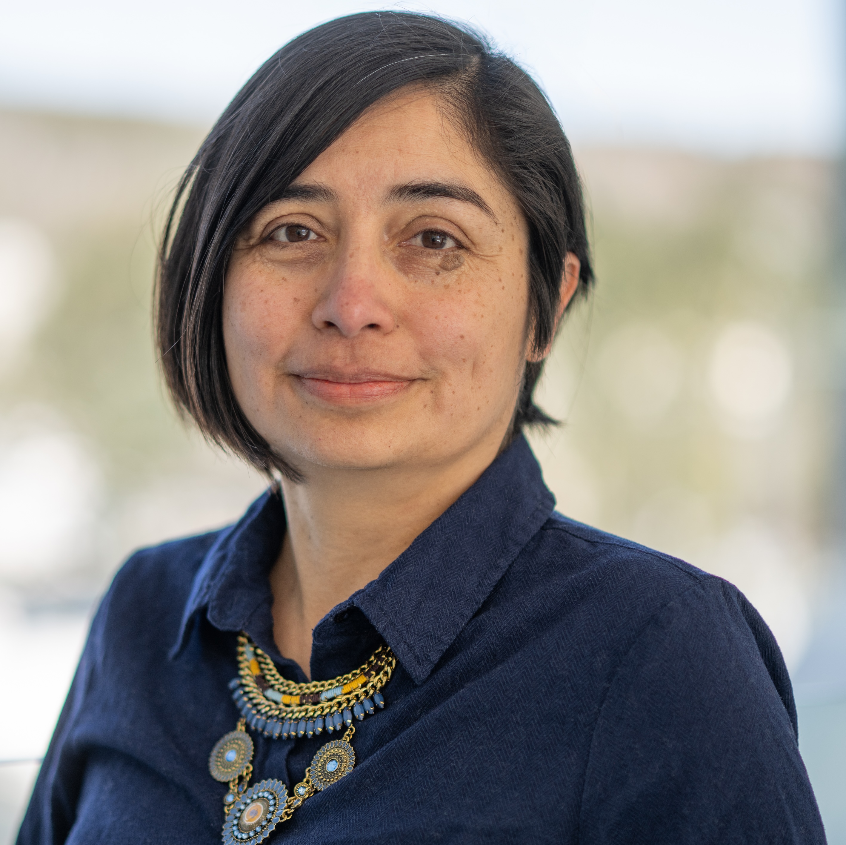 Photo of Lourdes Peña-Castillo