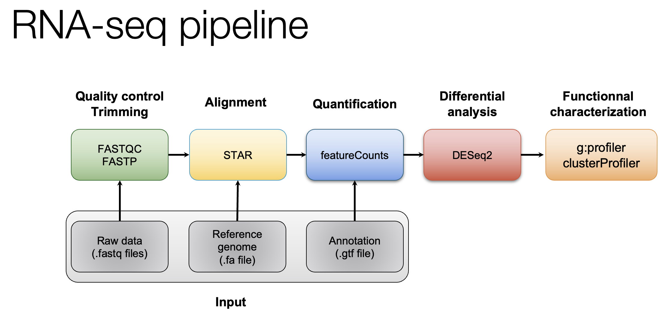 Pipeline RNA-seq