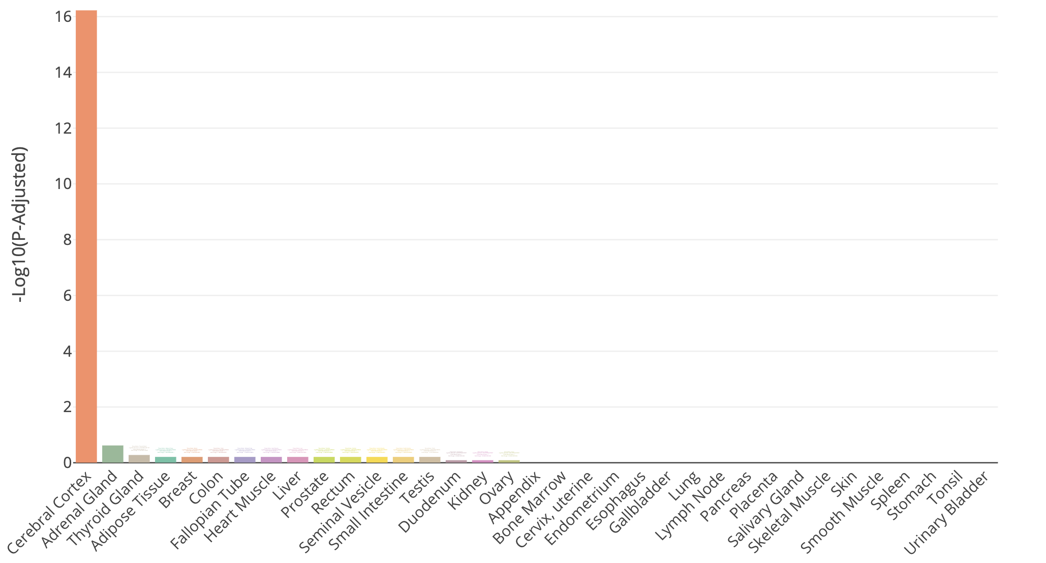 TissueEnrich-HBR-Genes-1.png
